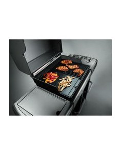 Plancha de hierro colado para Genesis E y S serie 300