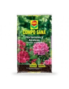 Hortensias y Azaleas