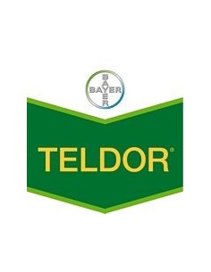 Teldor