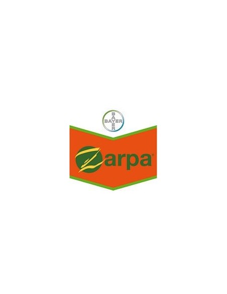 Zarpa