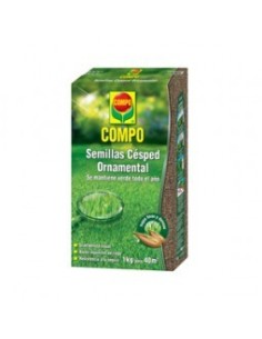 Césped Ornamental