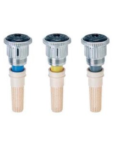 SERIE ROSCA HEMBRA 2