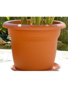 Plastico Mediterraneo